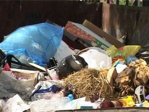 Воспитанники детского сада № 13 с наступлением тепла…