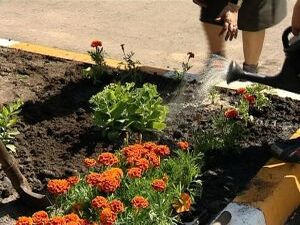 У большинства школьников каникулы уже начались, а это…