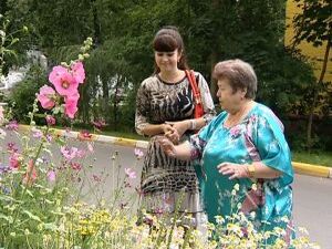 Красивые клумбы с яркими цветами — прекрасное украшение…