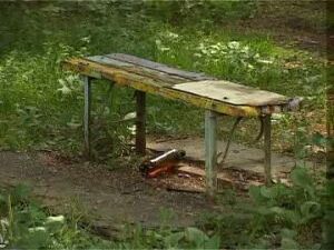 В студию Раменского телевидения поступил тревожный…