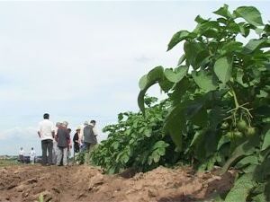 В сельском поселении Никоновское прошёл семинар…