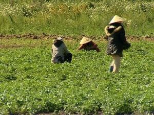 С наступлением лета все мы стараемся как можно больше…