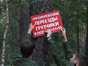 В лесных массивах зачастую можно увидеть рекламу на…