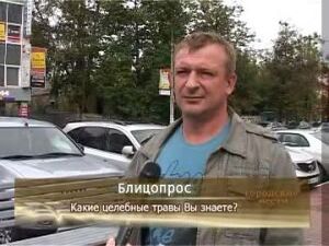 Продолжаем тему. Какие целебные свойства растений знают…