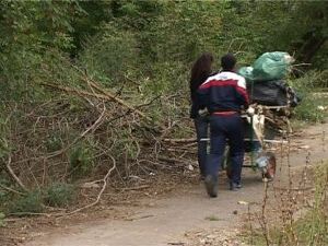 16 сентября в России отмечается день работника леса. В…