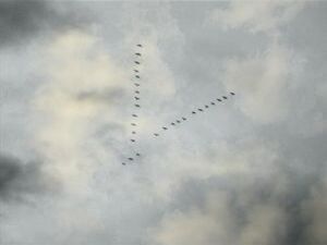 Практически во всех странах журавль олицетворяет светлое…