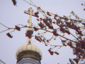 Икона Богородицы всех скорбящих радость глубоко…