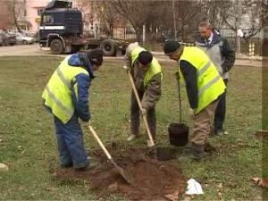 Озеленение города идёт полным ходом в любое время года…