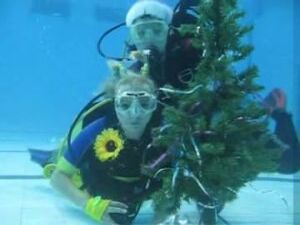 Уже четвёртый раз в Раменском бассейне дайверы отмечают…