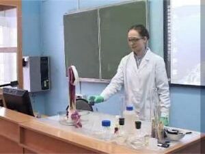 В связи с внедрением новых образовательных стандартов в…