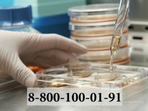 Ежегодно 4 февраля отмечается  всемирный день борьбы…