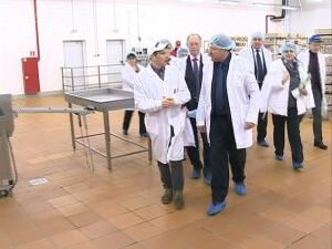 Константиновская птицефабрика была основана в 1975 году…