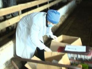 Серьёзной кишечной инфекцией можно заболеть разными…