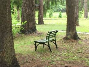 Теме защите Раменских лесов от пожаров, вредителей и…