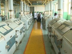 Раменский комбинат хлебопродуктов на сегодня, один из…