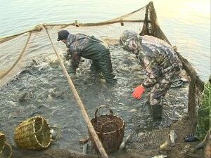 Сегодня рано утром наша съёмочная группа отправилась в…