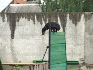Впервые в центре военно-патриотического воспитания…