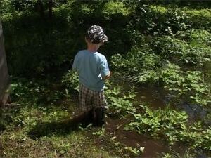 В студию Раменского позвонили жители дома №4 по улице…