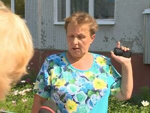 Как правило работы по благоустройству дворов вызывают у…