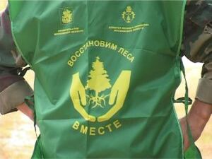 Основным виновником возникновения лесных пожаров…