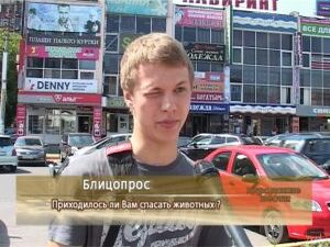 В продолжение темы рубрика блицопрос. Каждый мог…