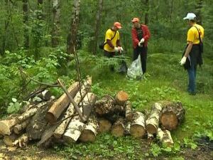 Согласно решению, принятому врио губернатора МО Андреем…