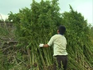 Сотрудниками полиции ведётся активная борьба с…