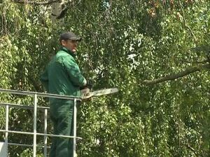 В рамках реализации губернаторской программы «Наше…