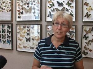 Жуки-усачи и рогоносцы, бабочки тропические и…