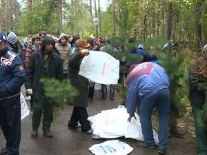 О защите лесов сказано многое. Нельзя возле деревьев…