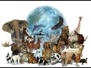 Всемирный день животных отмечается 4 октября, начиная с…