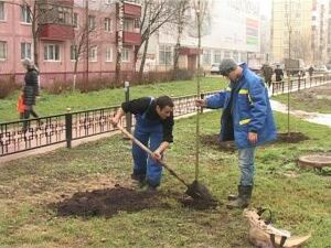 На улице ноябрь, но погода позволяет продолжать…