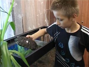 Одна из главных задач руководителей Удельнинской школы…