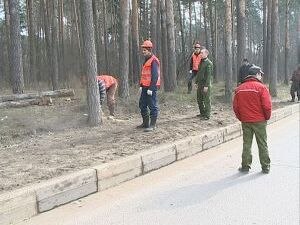 Сегодня на 48 квартале дачного участкового лесничества…