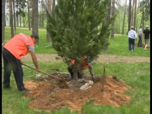 В прошедшие выходные  десятки людей, неравнодушных к…