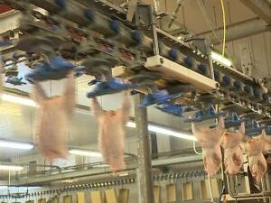 Вчера временно исполняющий обязанности руководителя…