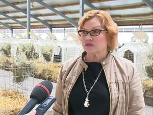 В наших предыдущих сюжетах мы неоднократно говорили о…