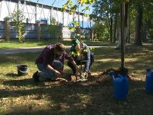 13 сентября в Московской области пройдет масштабная…