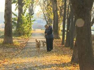 Один из главных конкурсов телефестиваля «Братина…