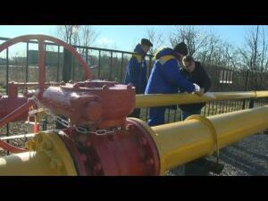 Сегодня в деревне Нестерово сельского поселения…