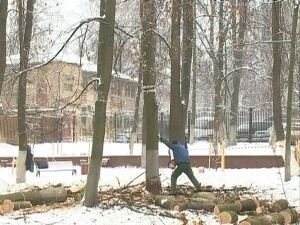 В нашем районе выполоняется Губернаторская программа…