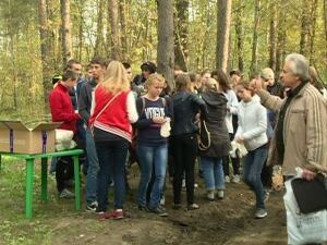 В лесах МО стартовали санитарно-оздоровительные рубки…