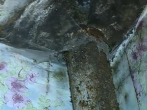 С многочисленными трудностями в бытовой жизни ежедневно…