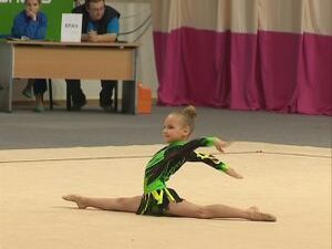 Во Дворце спорта Борисоглебский прошли соревнования по…