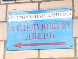 В настоящее время в Подмосковье зарегистрировано более…