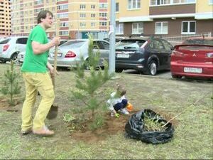 В одном из микрорайонов нашего города в этом году…