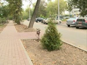 Благоустройство продолжает свой рейд по Раменскому…