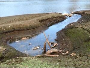 Невооруженным глазом видна неприятная ситуация с…