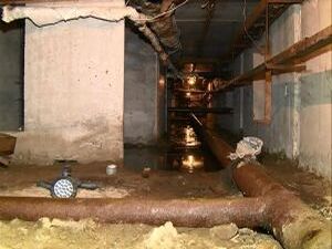 Ирина Карповна обратилась в студию Раменского…