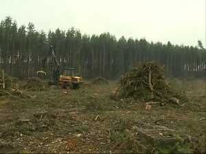 С сентября 2015 года на территории сельского поселения…